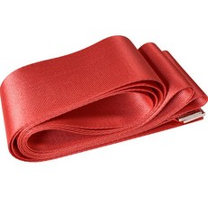 Roiwing 伸展姿勢輔助帶, 紅色, 1個