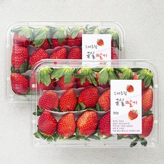 엄마는농부 산지직송 스마트팜 김제 금실딸기 특, 2팩, 500g