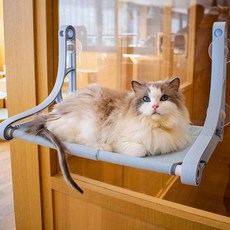 蓋茨比貓日出吊床, 藍色