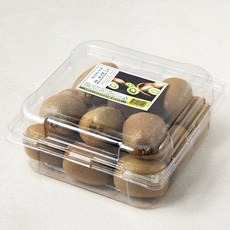 신세계푸드 제주 곶자왈 그린 키위, 2.1kg, 1개