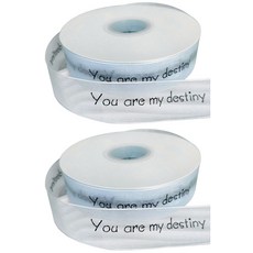 Maket Gamseong 透明緞帶禮物包裝 天藍色 我的命運 2入, 混合色