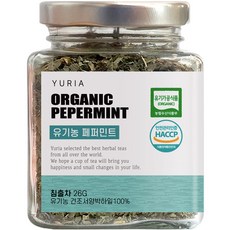 YURIA 玻璃瓶裝薄荷茶, 26g, 1入, 1個