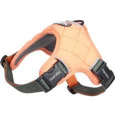 분독 강아지 조거 하네스, 카키 + 오렌지, 1개