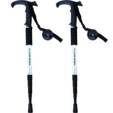 리앤베르 超輕量4節折疊登山杖 2入, 銀色, 2個