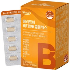 퍼니트 메리트비 비타민B 콤플렉스 51g, 60정, 1개