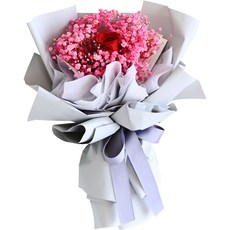 Garden in the City 永生玫瑰滿天星花束, 紅色