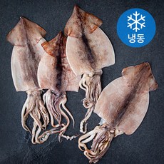 야들야들 부드러운 손질 오징어 (냉동), 800g, 1팩