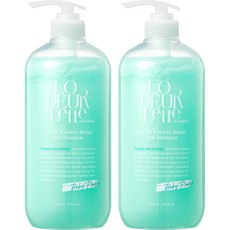 로더렛 인 잉글랜드 컬러핏 파우더리 브리즈 헤어 샴푸 베이비파우더향, 1L, 2개