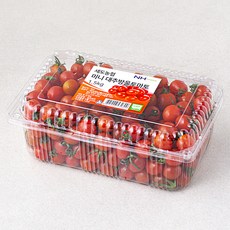 세도농협 GAP 인증 미니 대추방울토마토, 1팩, 1.5kg