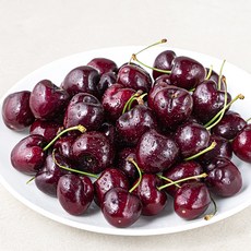 다조은 칠레산 체리, 400g, 1개