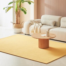 시큐어 슬러브 카페트