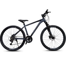 알톤스포츠 2023 MTB 자전거 쿼츠 M21D 미조립 박스배송, 174cm, 매트그레이, 1개