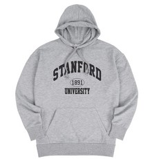 AiR Plane 男女通用 Stanford Oversize 連帽T恤