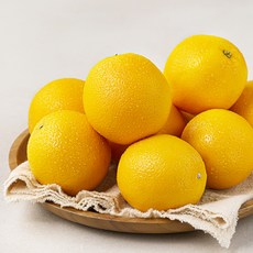 다조은 캘리포니아 고당도 네이블 오렌지, 1.8kg, 1팩