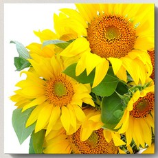 해바라기 액자 대형 풍수 유화 벽걸이 17