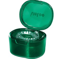 full of fun 高級便攜式透明假牙收納盒 綠色, 1個, 1入