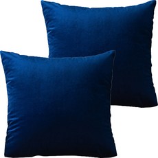 Market Pio高級絲絨鮮豔色彩靠枕套 2入