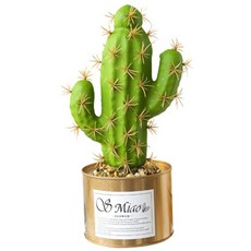 Arico仙人掌人造花盆C型, 混色, 1個