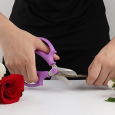 Joypick 園藝修枝剪 紫色, 1個