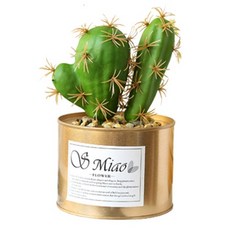 Arico仙人掌人造花盆D型, 混色, 1個