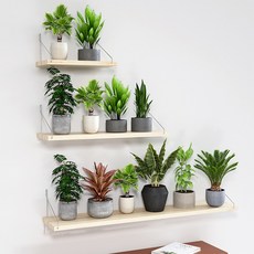 자파스 인테리어 선반 3종 세트, 원목