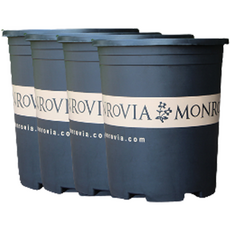 蘋果薄荷 園藝入門 多肉植物 迷你花盆 4入, 黑色, 4個