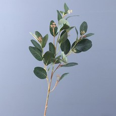 室內的大型桉樹花佈置，看起來像昨天的鮮花, 1個, 綠色