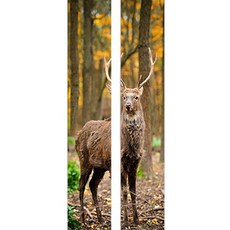 마이마이 문 인테리어 시트지 2p, 4