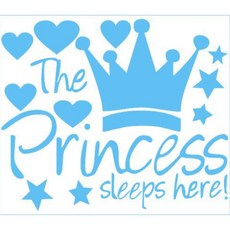 피삼십일 티아라 포인트 스티커, 03 스카이