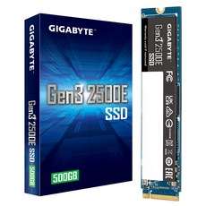 기가바이트 Gen3 2500E SSD, G325E500G, 500GB