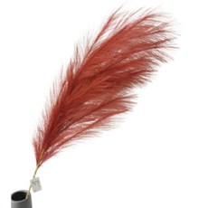 마치어제 인테리어 팜파스 갈대 조화, 1개, 버건디