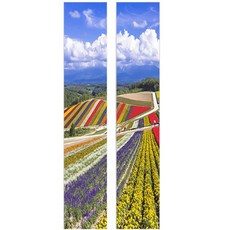 Crispin 月亮室內壁貼 2款組, 13