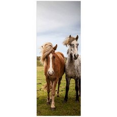 Chrispin 門用室內裝飾貼紙 2件組, 選項19