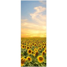 클라우스 문 인테리어 시트지 2종 세트, 18