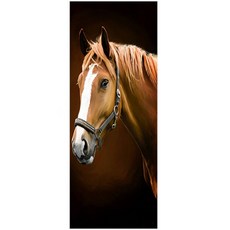 클라우스 문 인테리어 시트지 2종 세트, 4