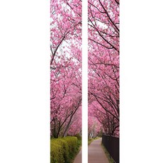 Crispin 月亮室內裝飾壁貼 2件組, 26