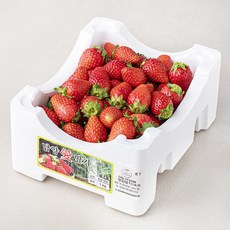 ONLYFARM 담양 한입딸기, 1kg, 1개