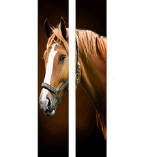 클라우스 문 인테리어 시트지 2종 세트, 4