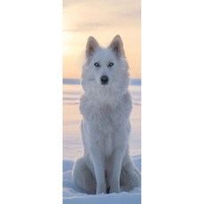 皮卡布門用室內裝飾貼紙2件組, 6