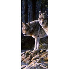 피카부 문 인테리어 시트지 2종 세트, 23