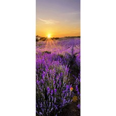 피카부 문 인테리어 시트지 2종 세트, 5