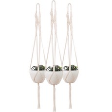 Forestin Home Interior Line 花盆衣架 TYPE-C 3p, 混色