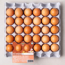 조인 갈색대란, 30구, 1개