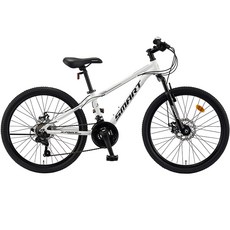스마트 자전거 24 엑스포스D, 160cm, 화이트, 1개