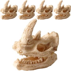 Mimine Aqua Nomopet 爬行動物恐龍骨架裝飾品 NS-90, 單色, 5個