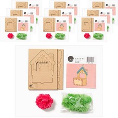 minhwashop 苔蘚康乃馨花盆製作套組, 什錦色, 10套