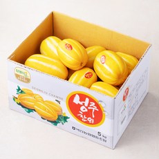 성주참외 벽진 가정용 실속 참외 랜덤발송, 5kg, 1개