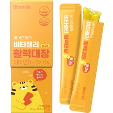 바이오메라 젤리스틱 비타 활력대장 망고맛, 300g, 1개