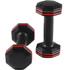 반석스포츠 레드라인 아령, 2kg, 2개