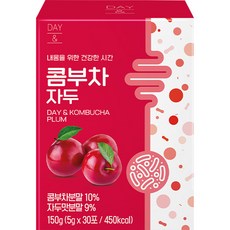 데이앤 콤부차 자두, 150g, 1개